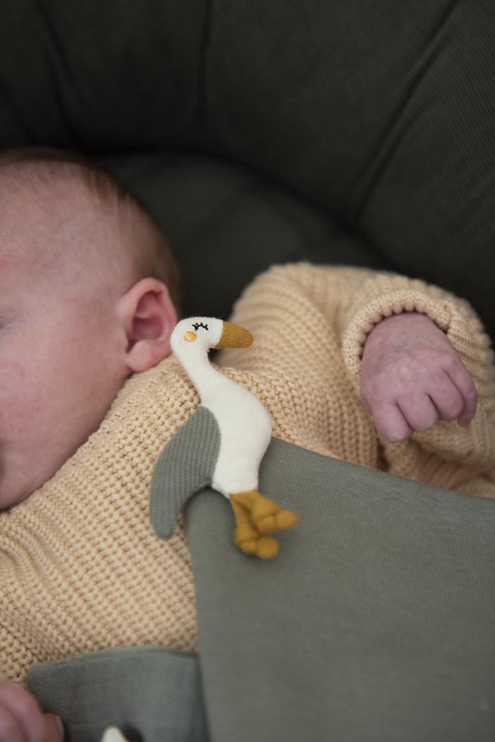Baby comforter - Heron